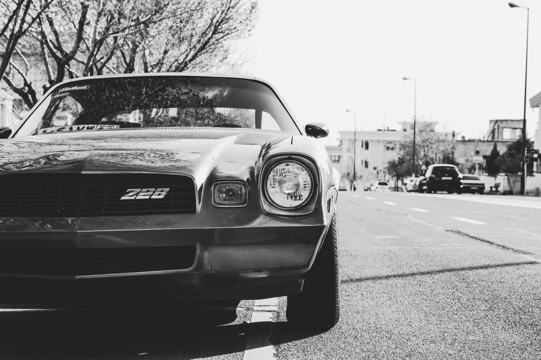 Muscle